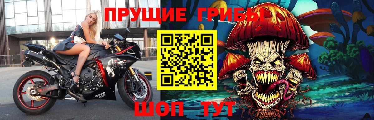 Галлюциногенные грибы прущие грибы Таганрог